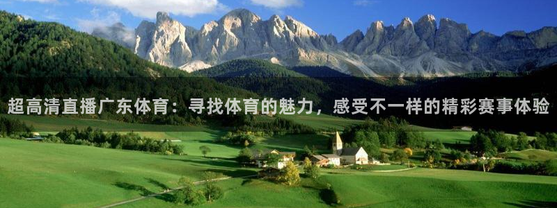 袋鼠体育直播足球：超高清直播广东体育：寻找体育的魅力，感受不一样的精彩赛事体验