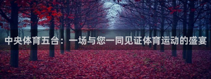 袋鼠直播在线观看nba：中央体育五台：一场与您一同见证体育运动的盛宴