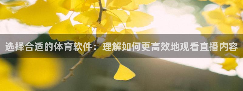 袋鼠直播看nba比赛：选择合适的体育软件：理解如何更高效地观看直播内容