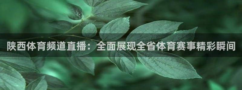 袋鼠直播体育直播入口：陕西体育频道直播：全面展现全省体育赛事精彩瞬间