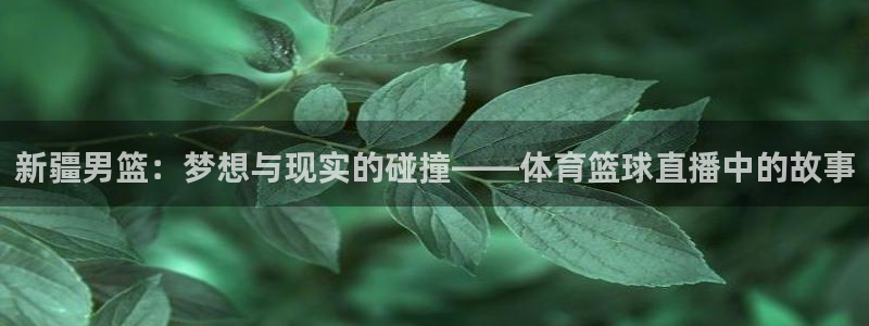 袋鼠直播体育免费观看入口：新疆男篮：梦想与现实的碰撞——体育篮球直播中的故事