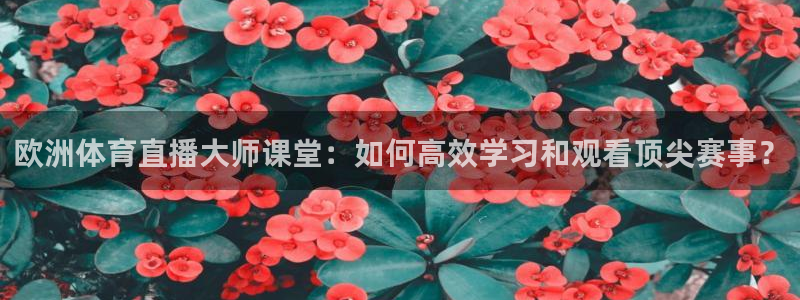 nba袋鼠直播：欧洲体育直播大师课堂：如何高效学习和观看顶尖赛事？