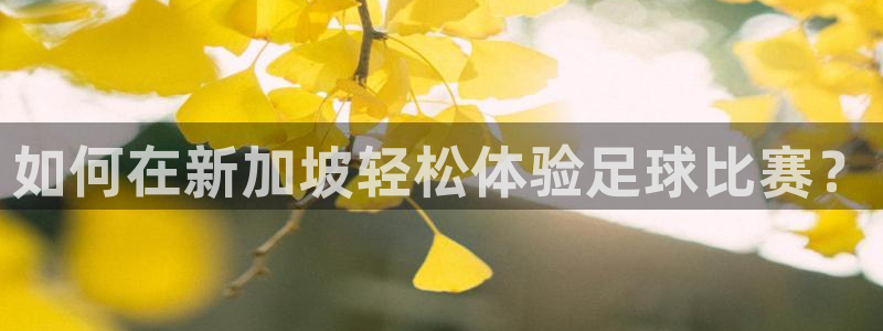 袋鼠体育直播在线观看：如何在新加坡轻松体验足球比赛？
