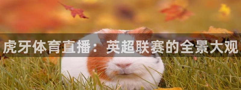 nba袋鼠直播在线观看：虎牙体育直播：英超联赛的全景大观