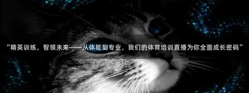 袋鼠直播看球：“精英训练，智领未来——从体能到专业，我们的体育培训直播为你全面成长密码”